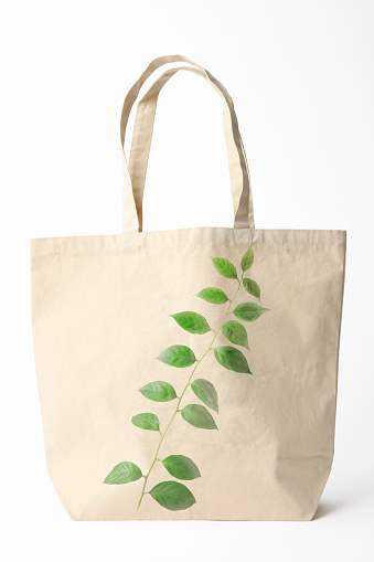 Carry bags
